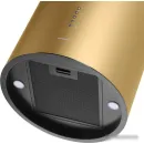 Кухонная вытяжка MAUNFELD Lee Wall 39 (золотой)